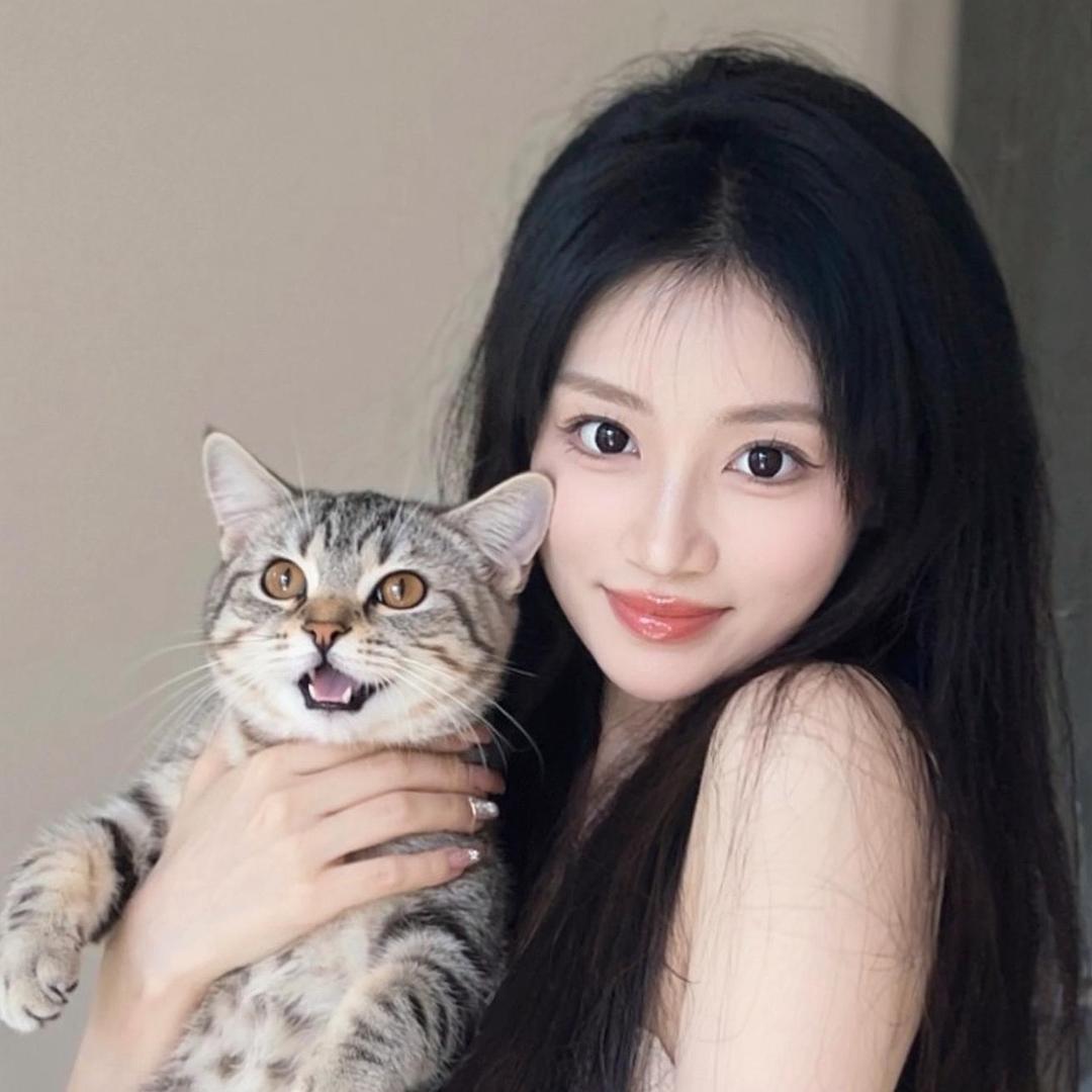 糕冷小石