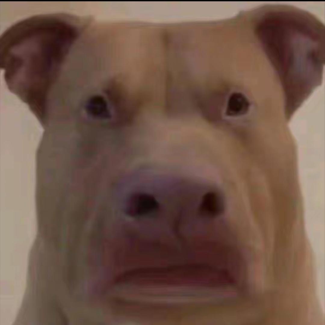 大公狗