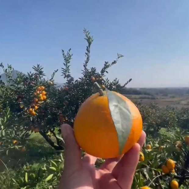 小可爱❤️❤️❤️