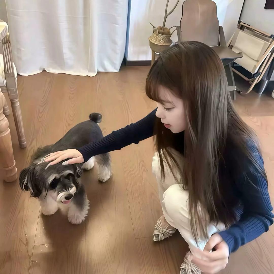 仪个仪