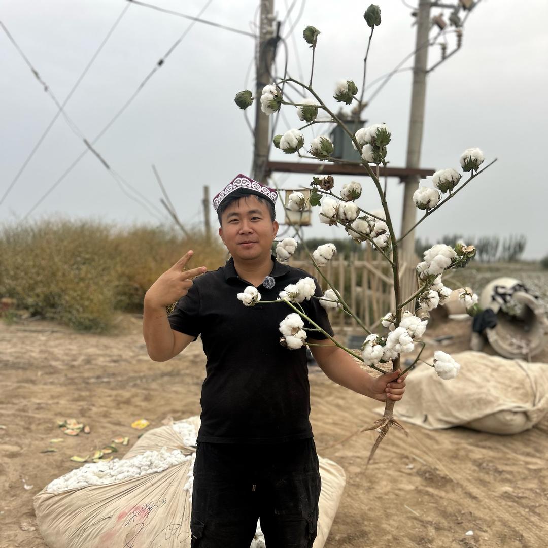 新疆棉被（每天开播）