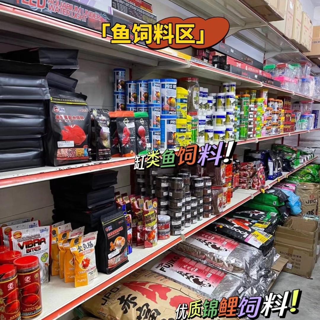 鱼掌柜