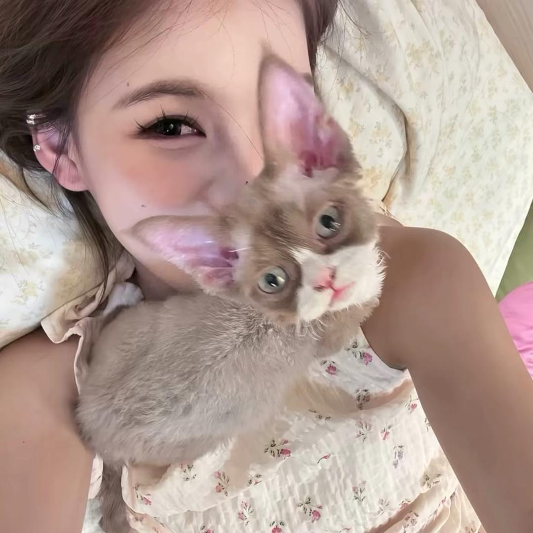 猫吃雨🌧️Moeb_