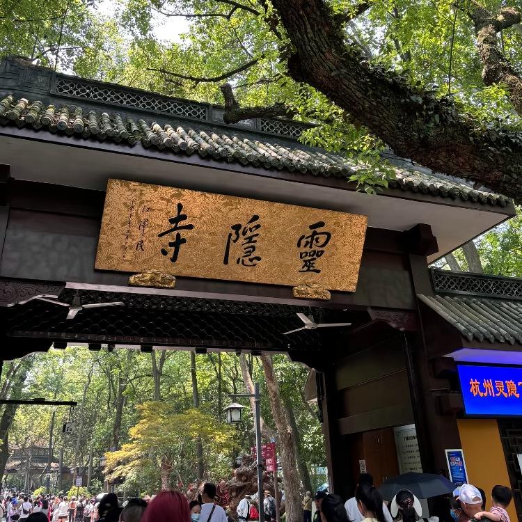 铿锵玫瑰
