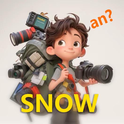 两个安snow