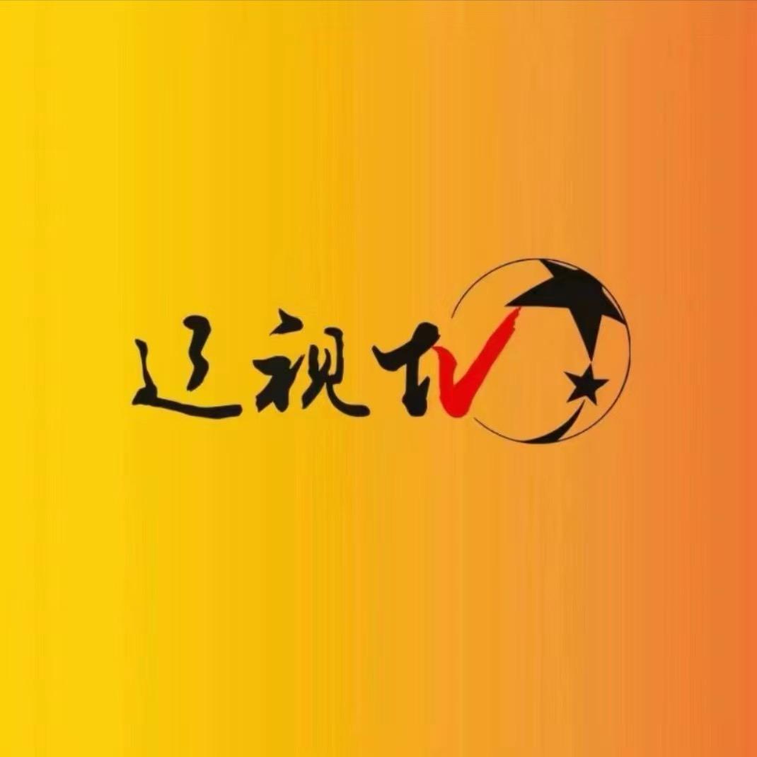 辽视TV
