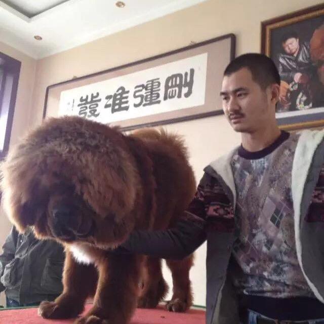 无锡东疆獒园．