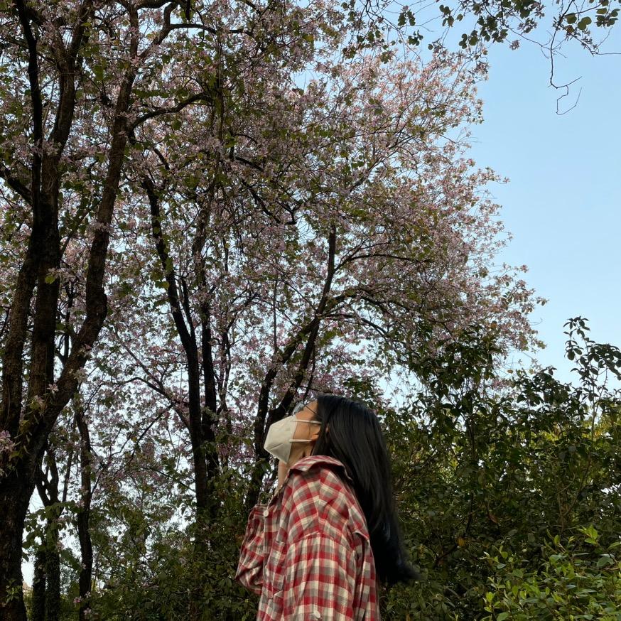 跨境创业小白鼠