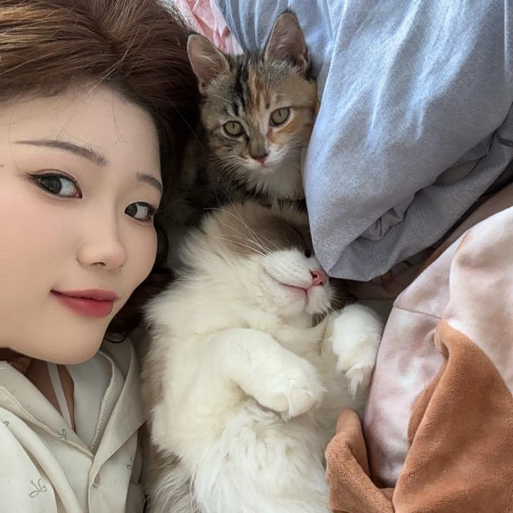 坚果