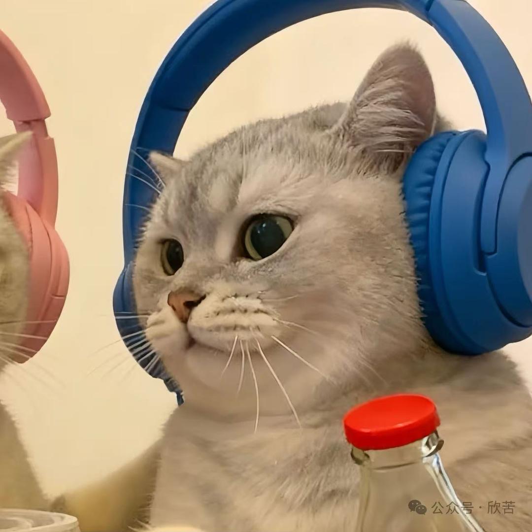 A天一篮球（同济中考体育）高教练