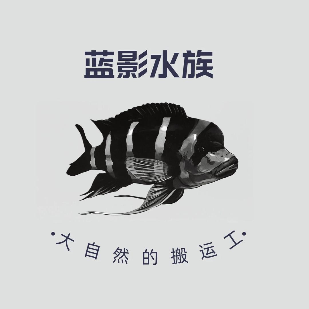 蓝影水族