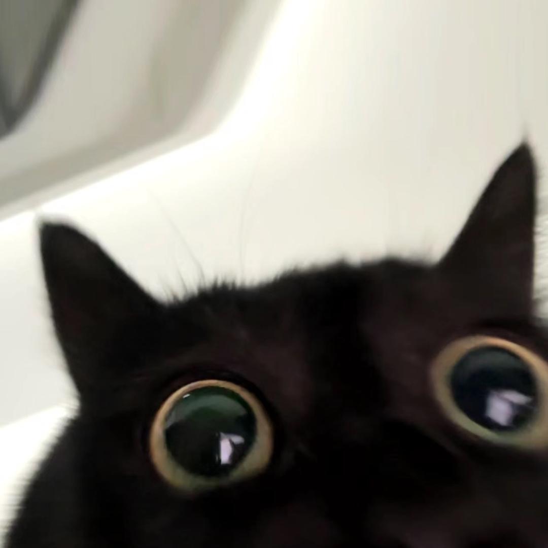 Belli