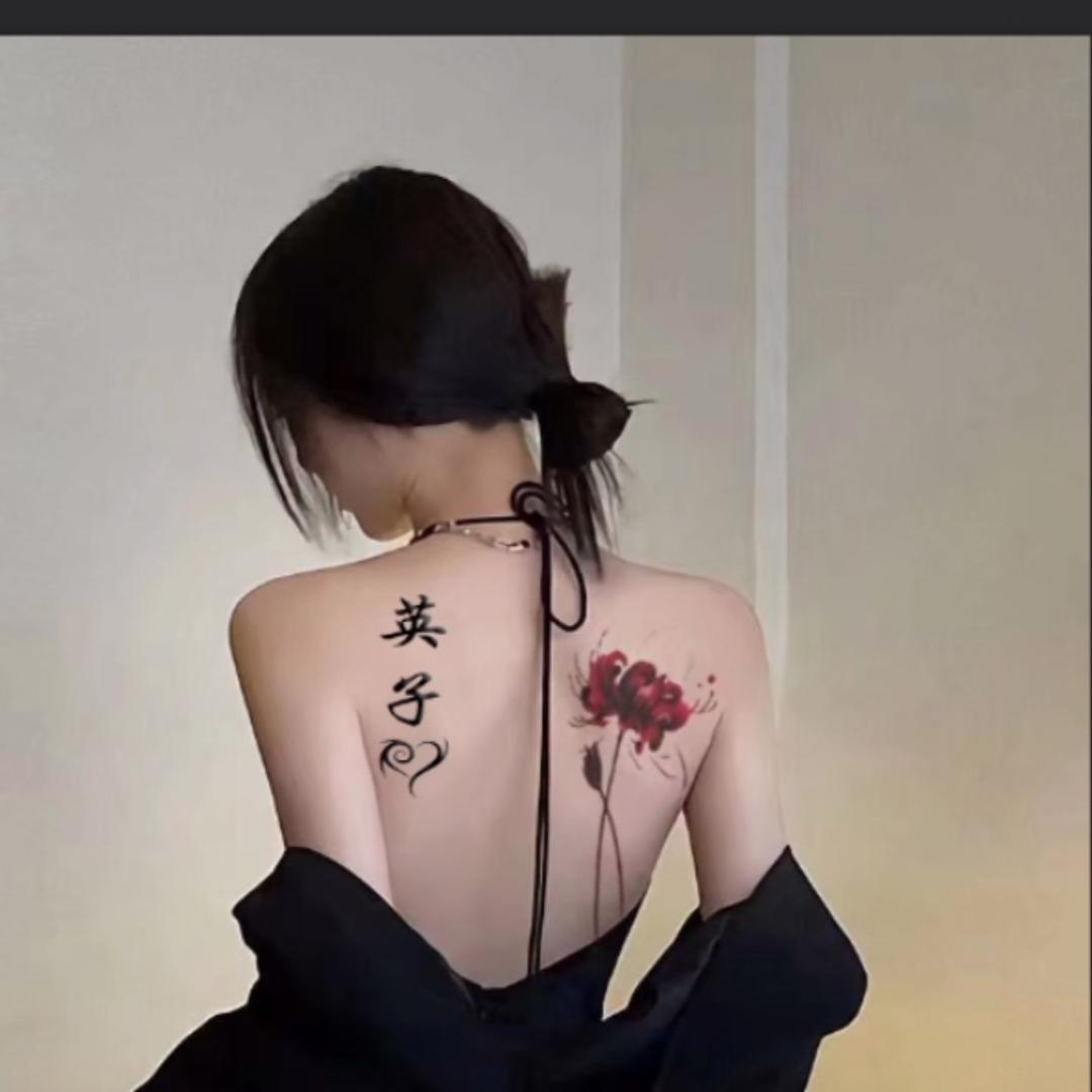 🌈湖北的英子（好物在橱窗）