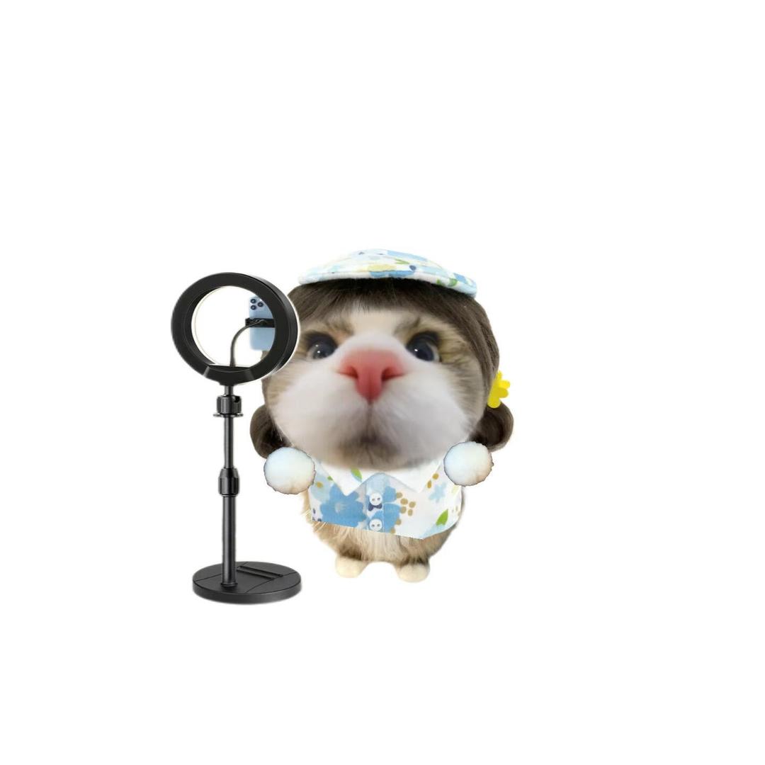 描述（🏠）