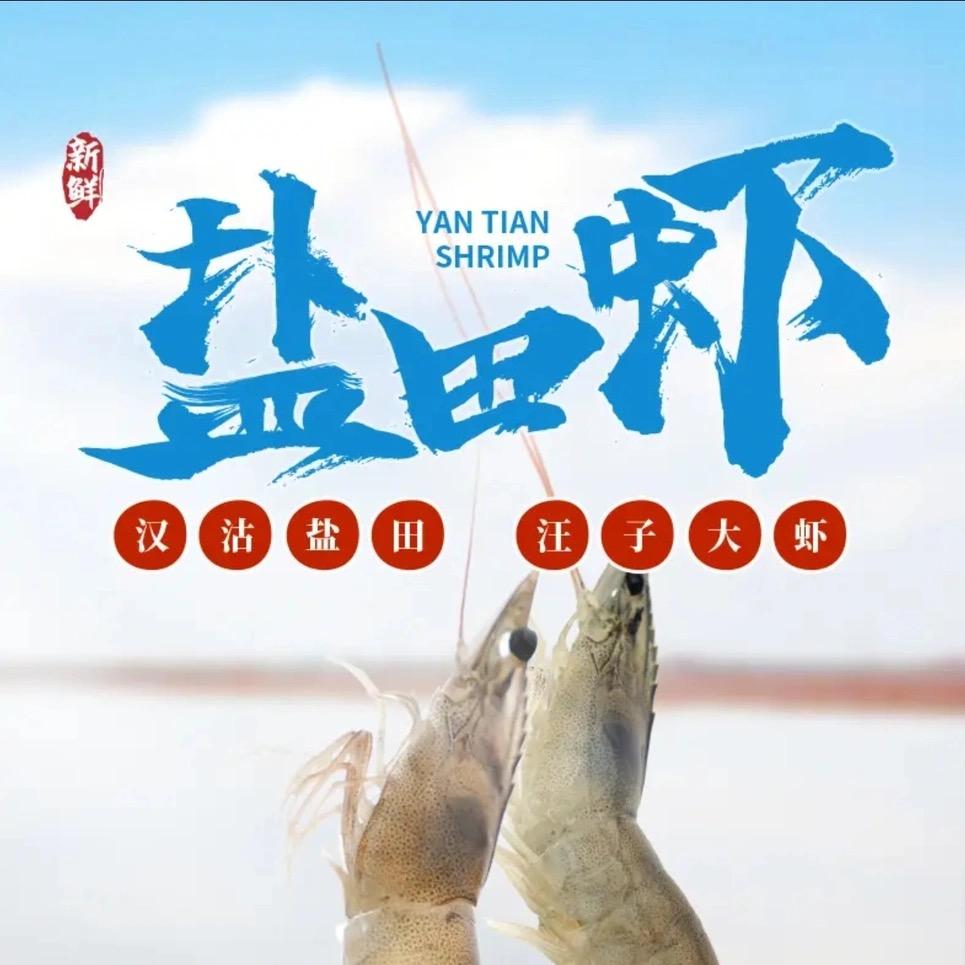 汉沽盐田虾