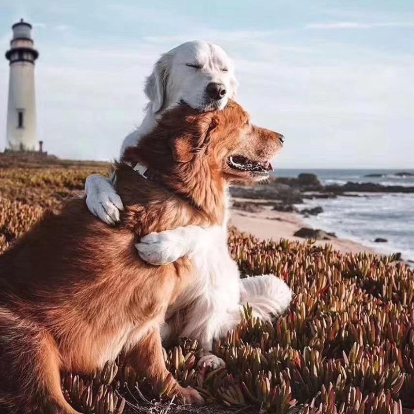 随县捷锥雅甄选阁