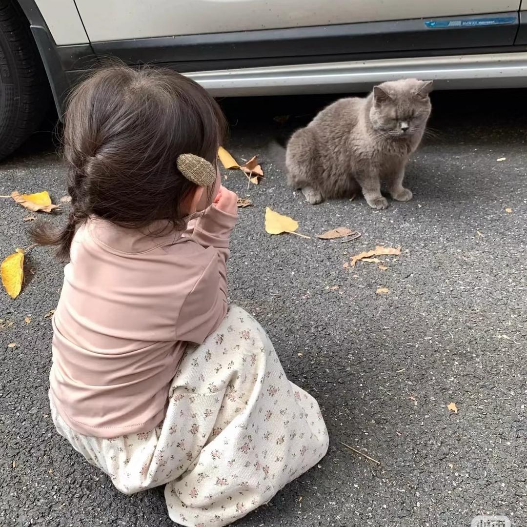 沁