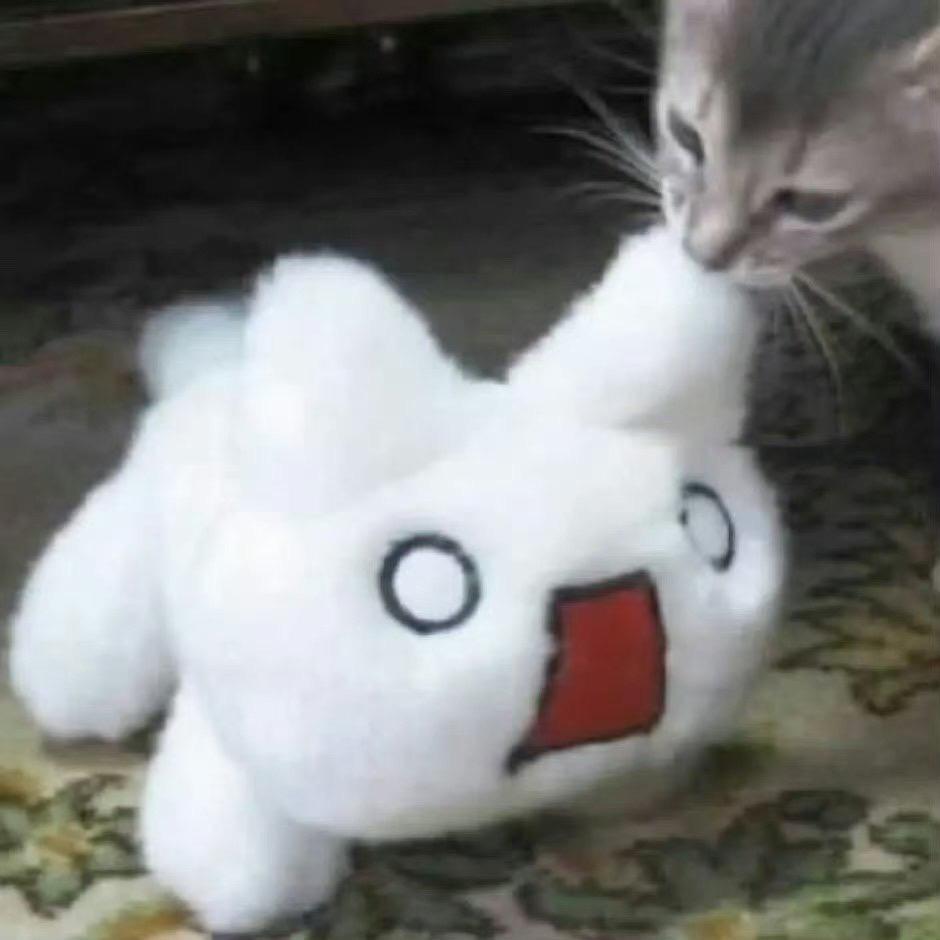 冬瓜