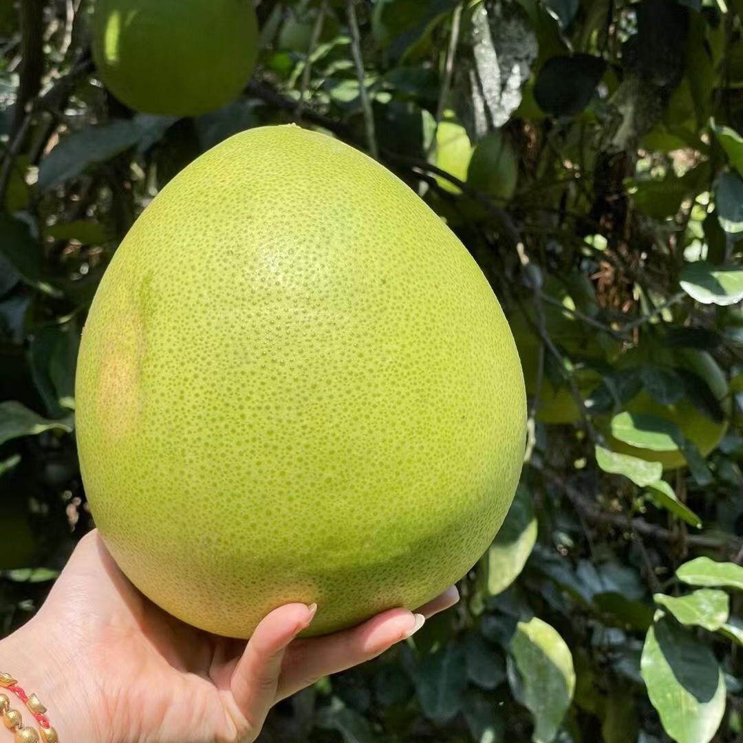 简简单单