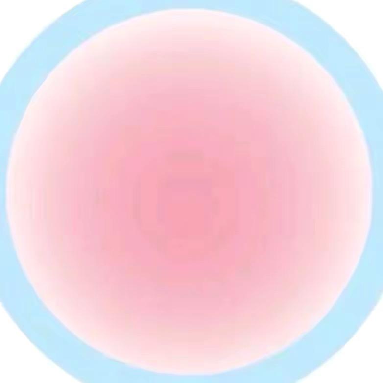 司琦