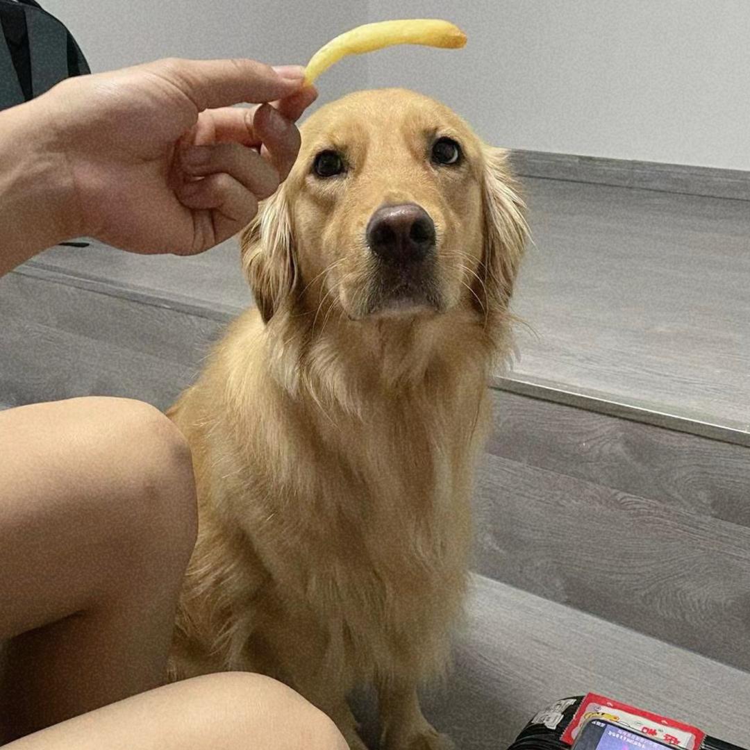 相见时难别亦难