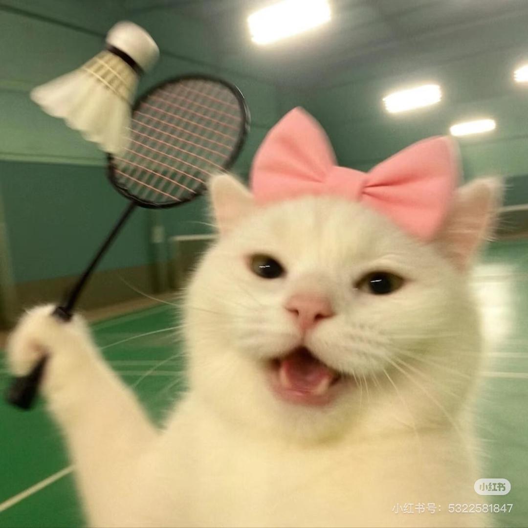 猫咪姐姐👧
