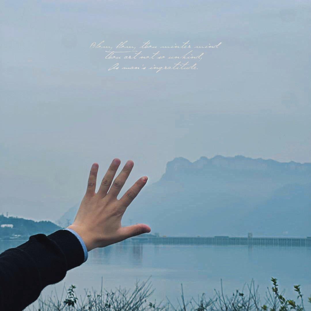 芳草鲜美，落英缤纷。