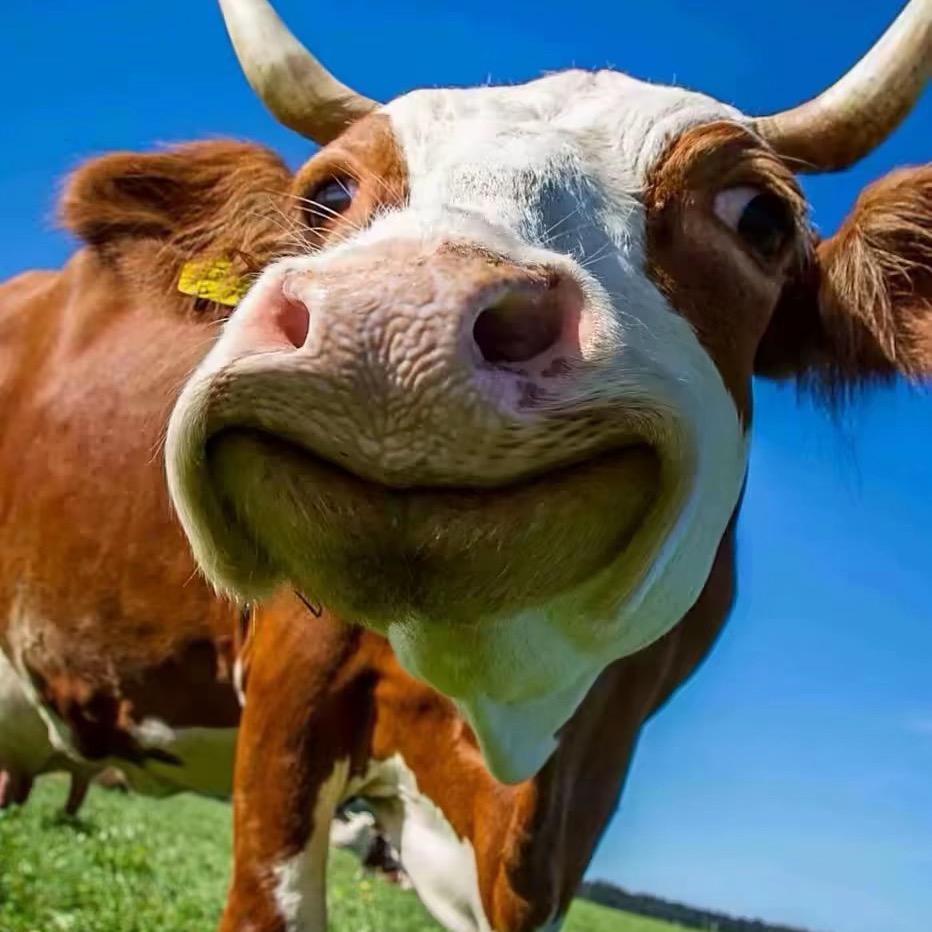 因为今天是周一