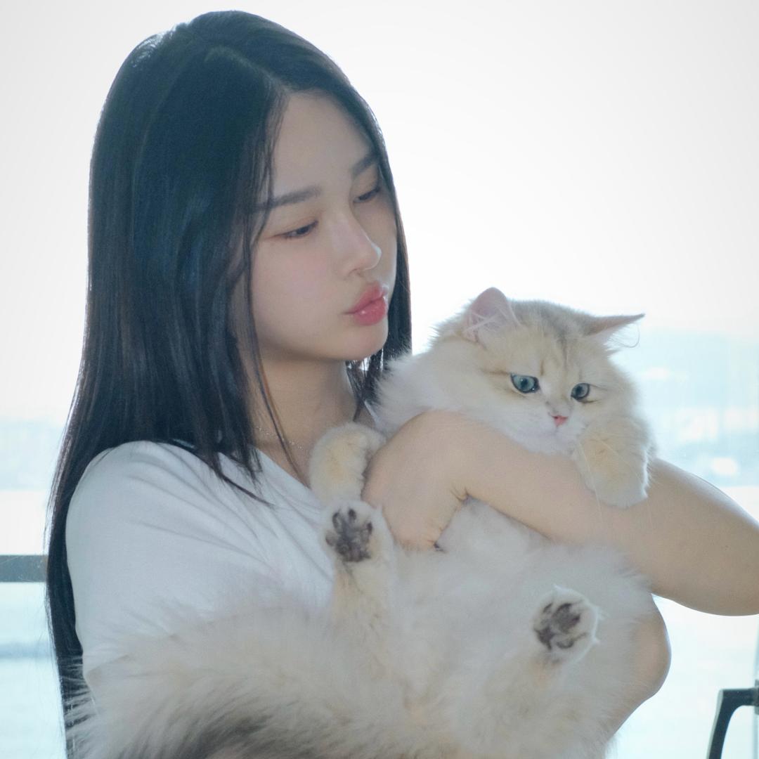 我是若溪