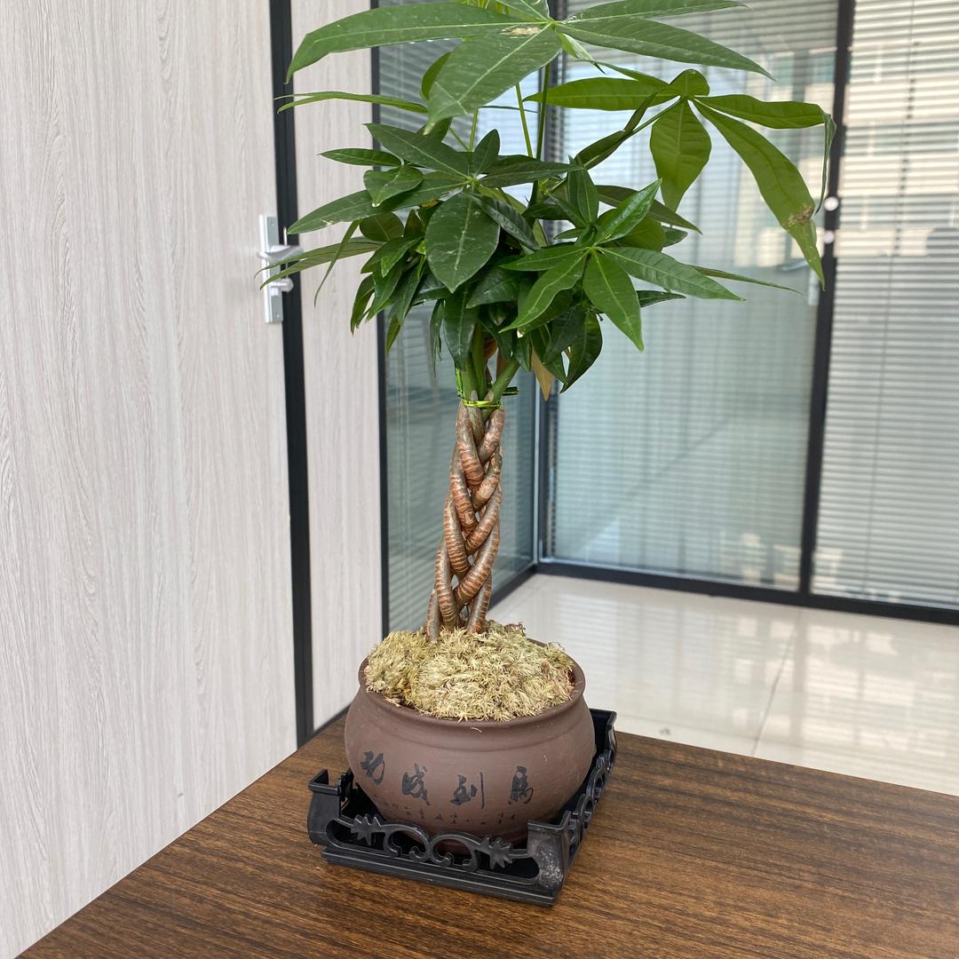 家庭和睦