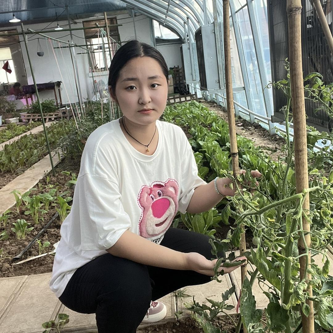 小封教种菜