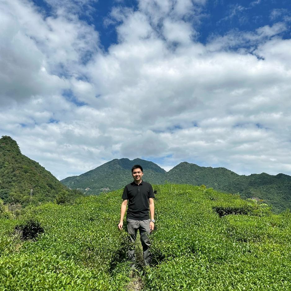 坪上炒茶阿七茶厂