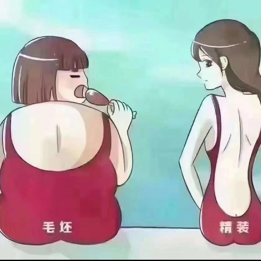琴