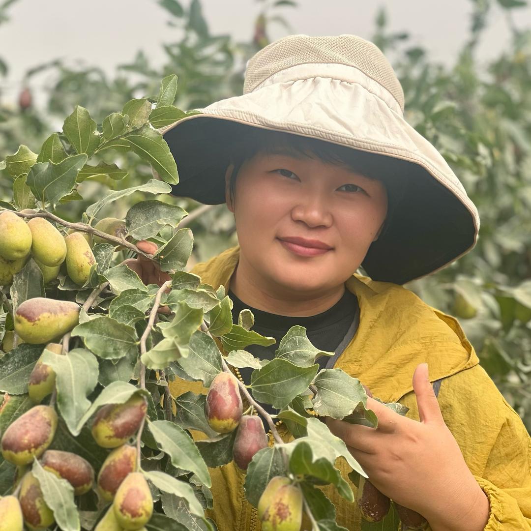 河南小刘在新疆