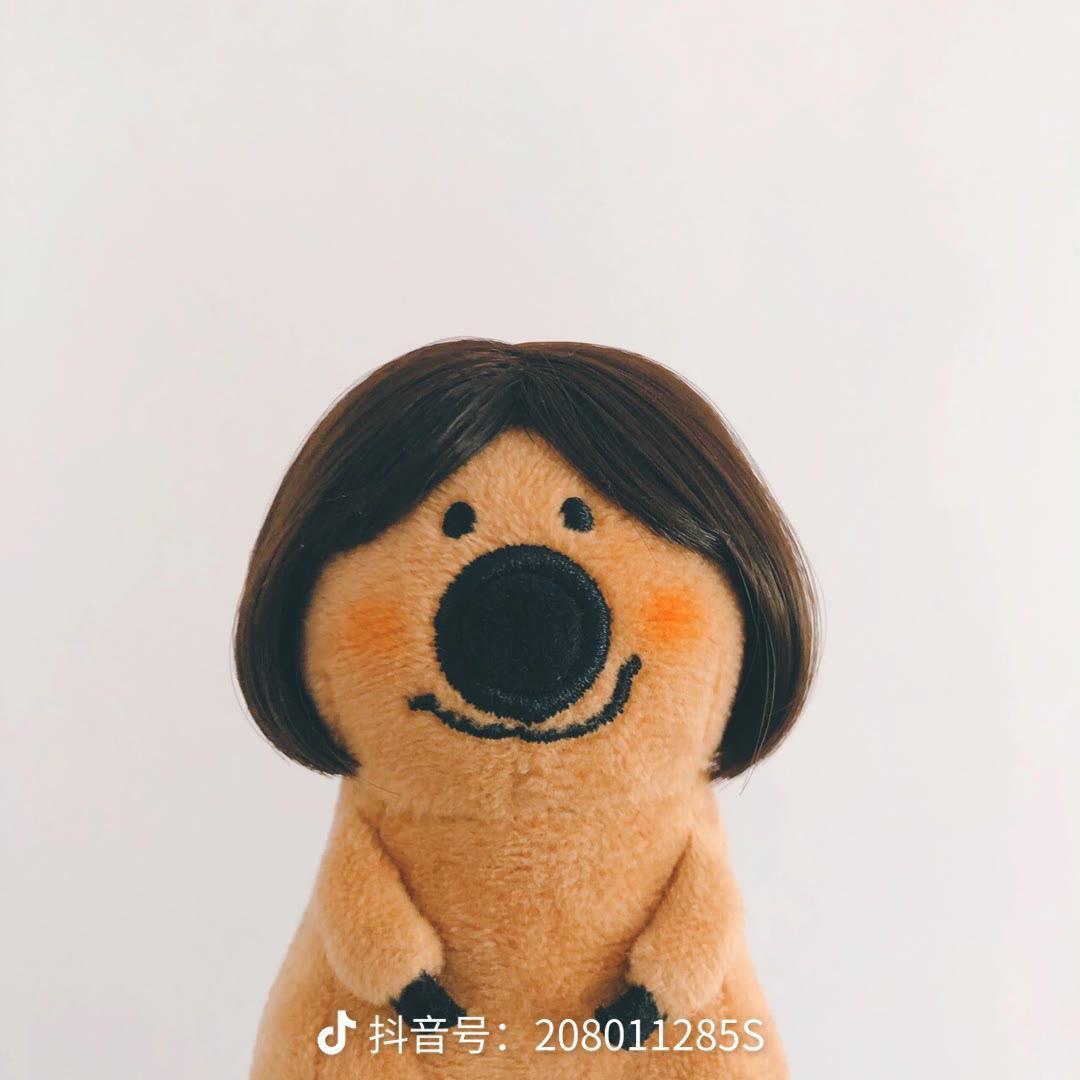 一个小竹“荪”