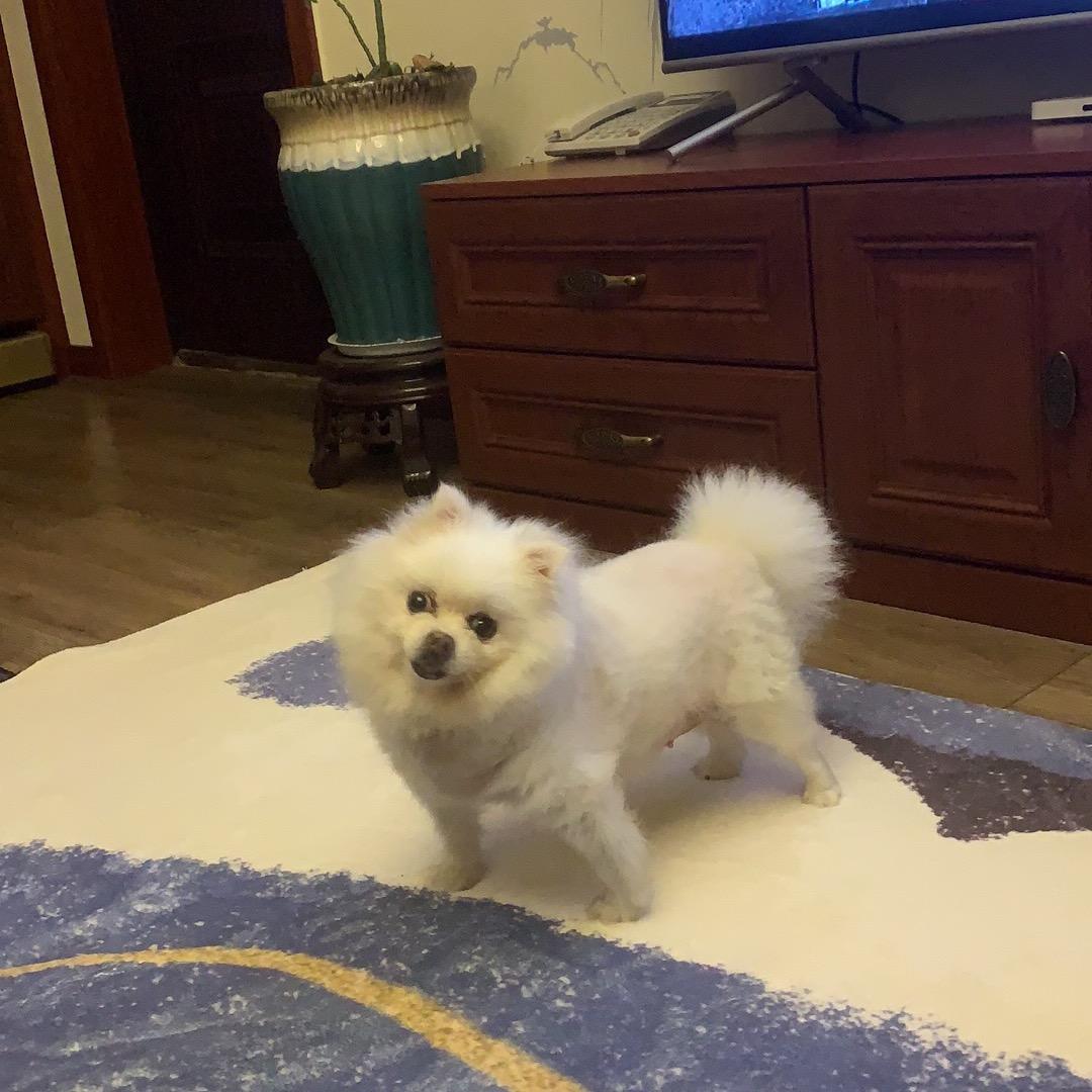 天高云淡