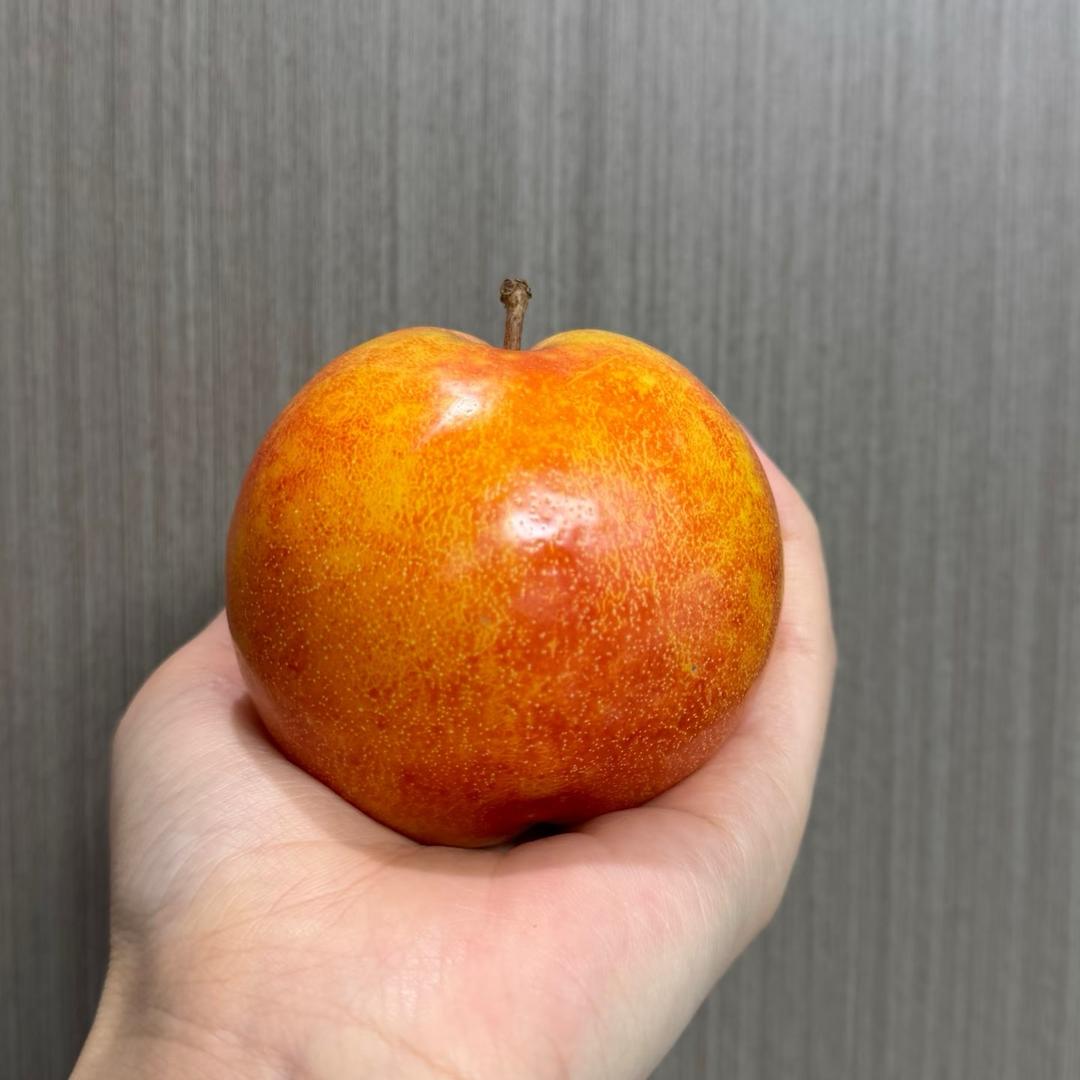 吃葡萄不吐皮儿