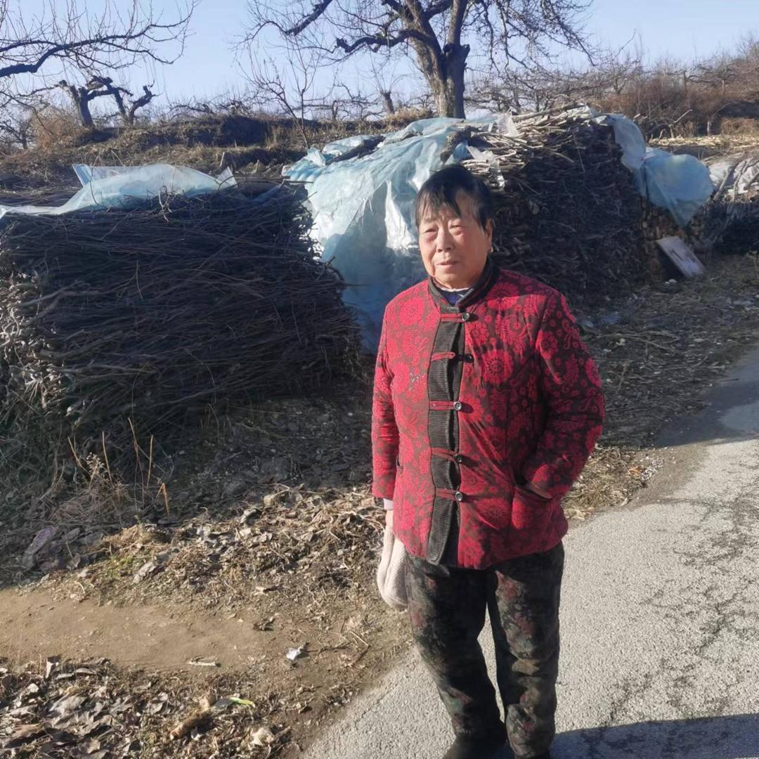 艳姐和婆婆日常生活