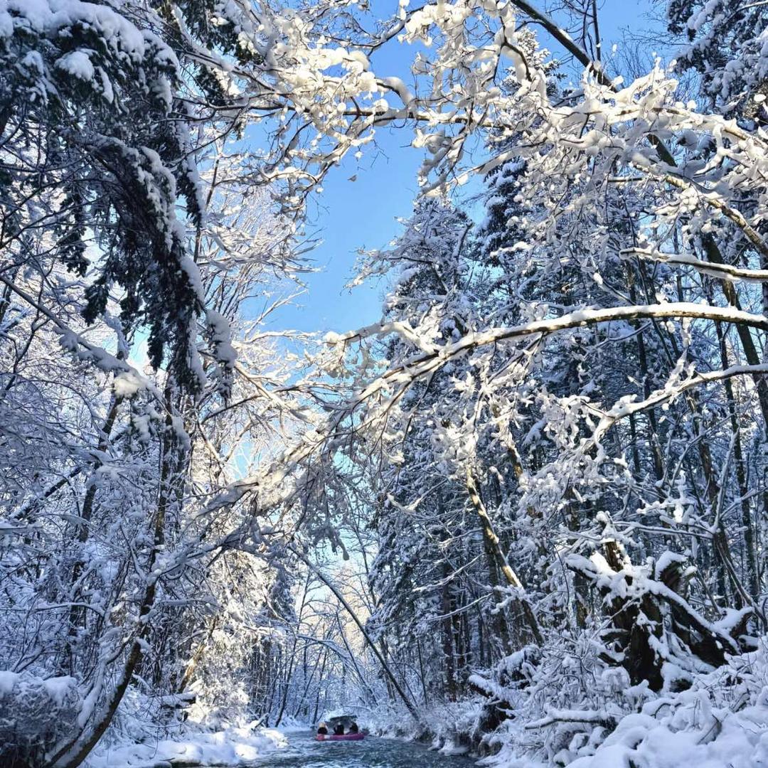 荐客金龟子—带你玩转东北