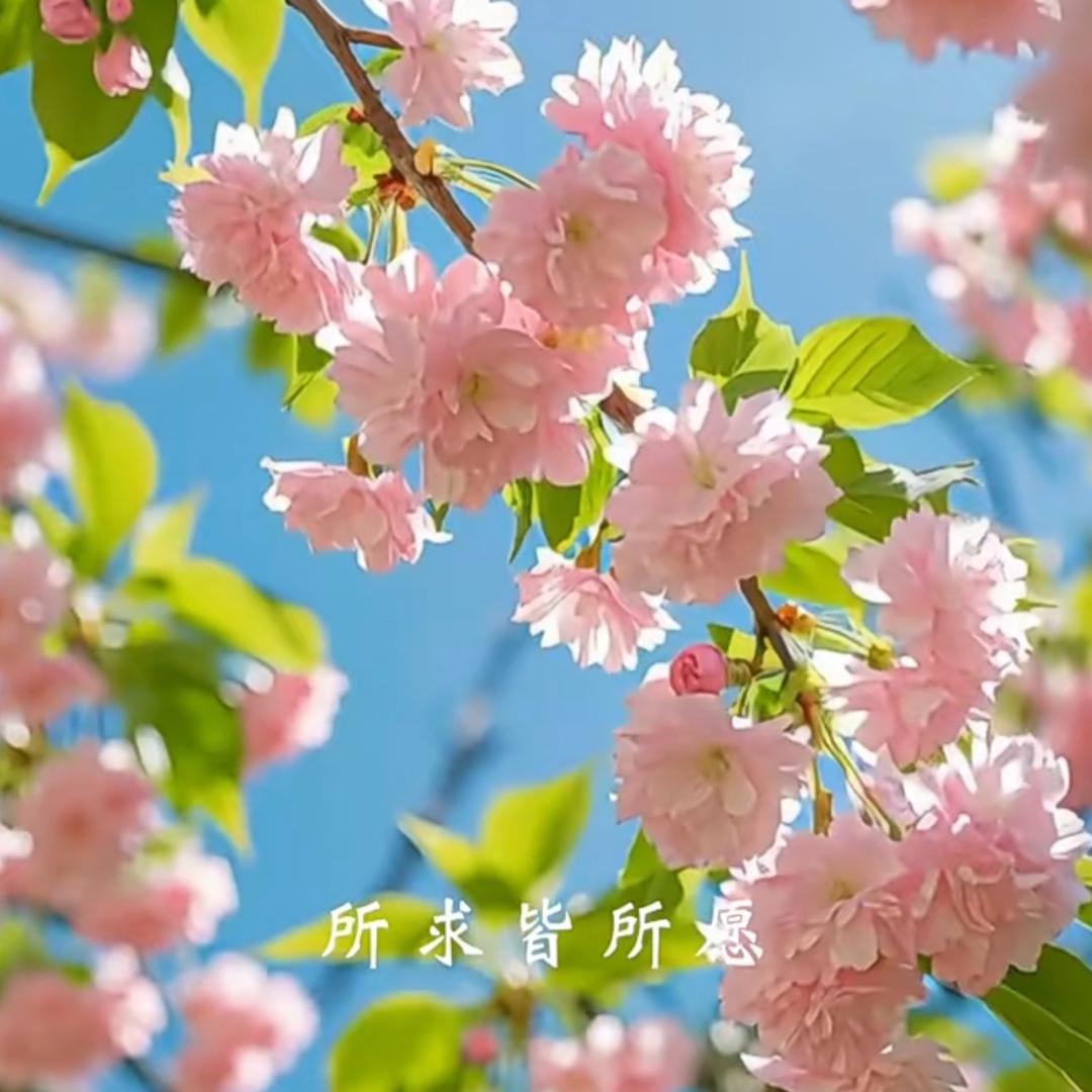 只如初见