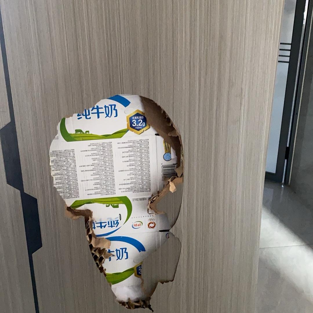 无花果511