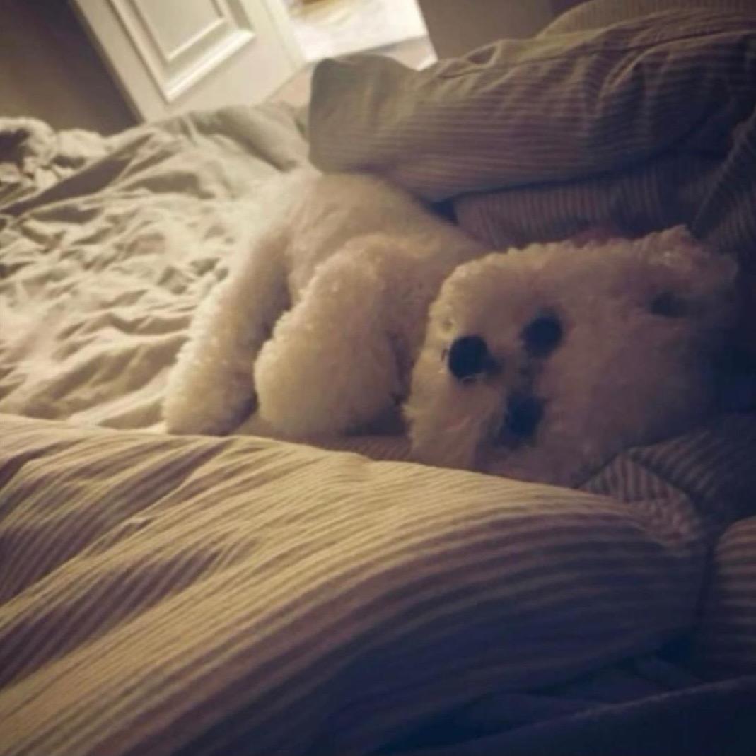 我睡觉的时候不困