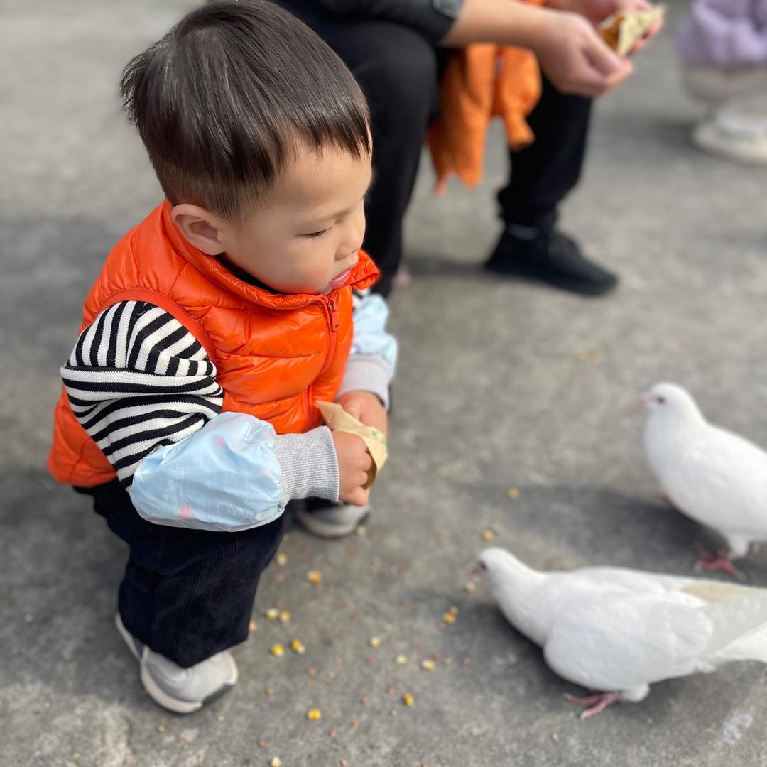 榴莲味的瑞狗屎