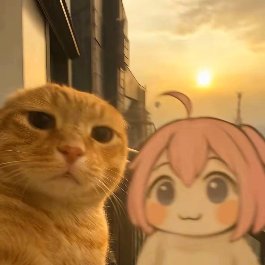 凡.
