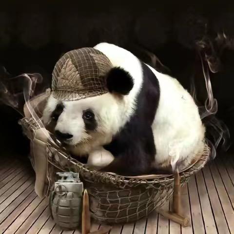 大梦（专注轻创）