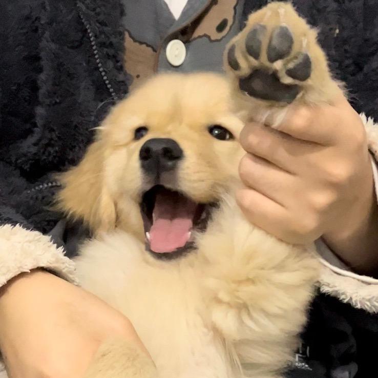 山竹
