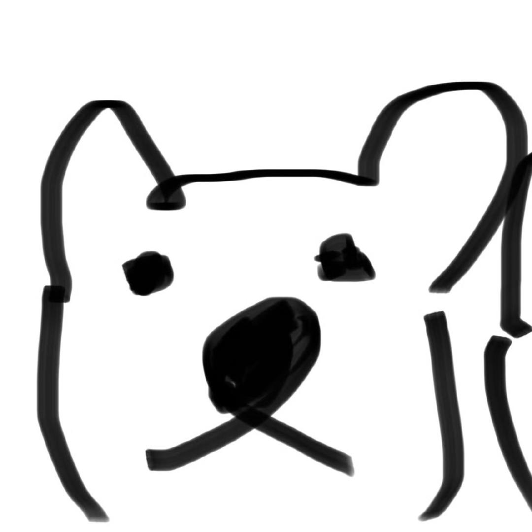 兔子.