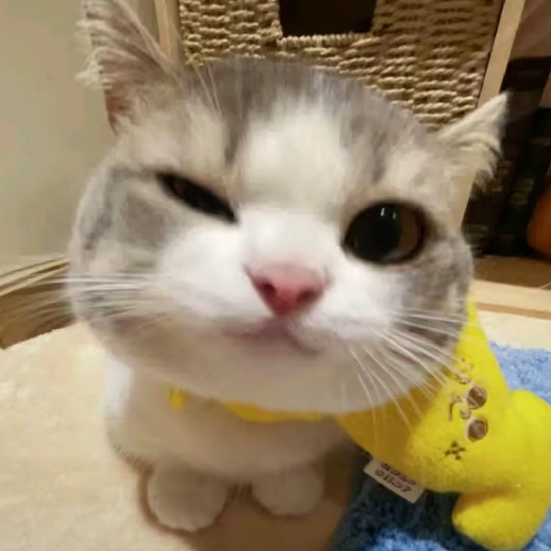 一只彤