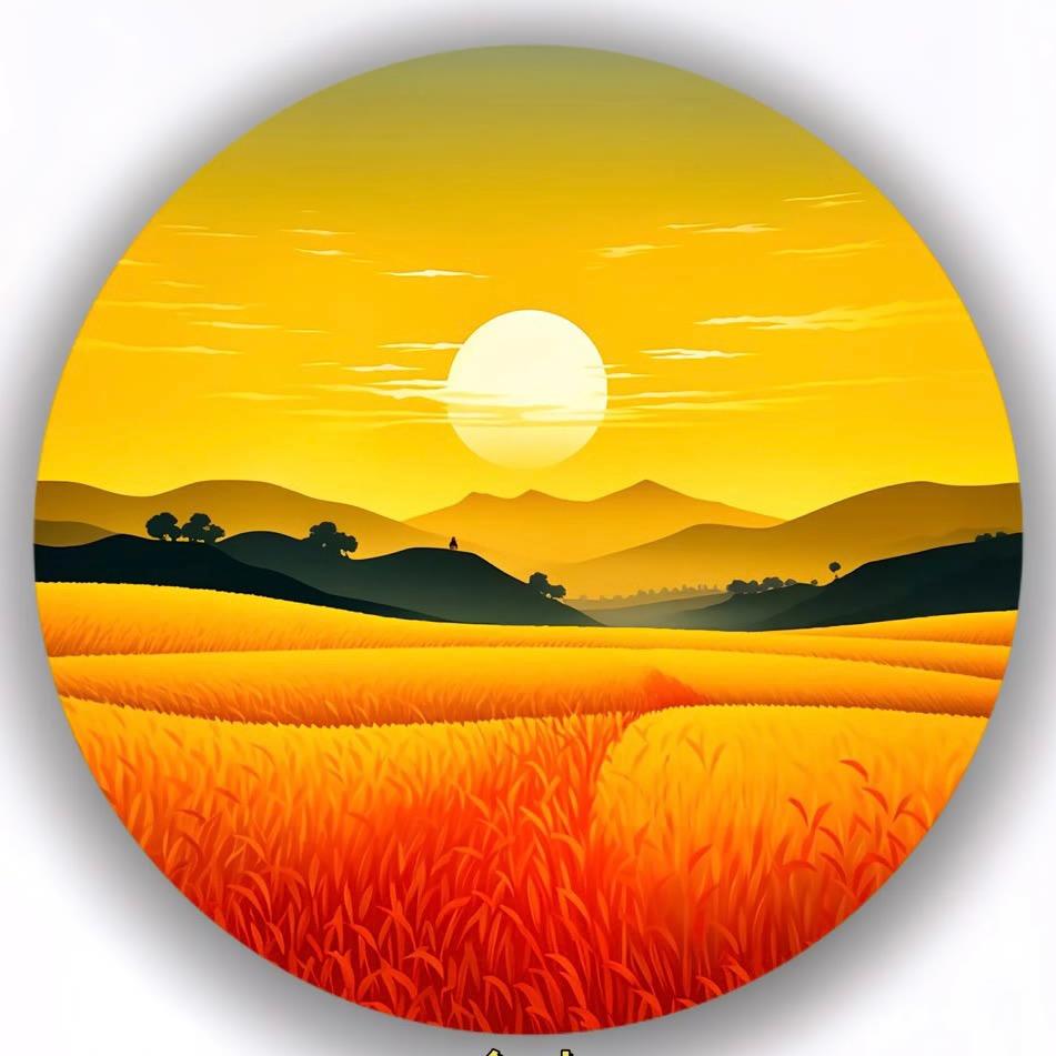向着阳光.生活
