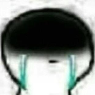 善良的农村人（无孩爱猫女）